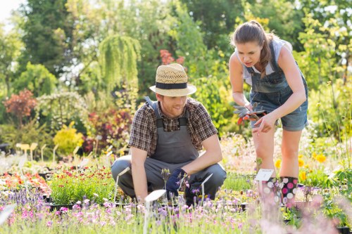 Team member assessing a residential garden before maintenance begins