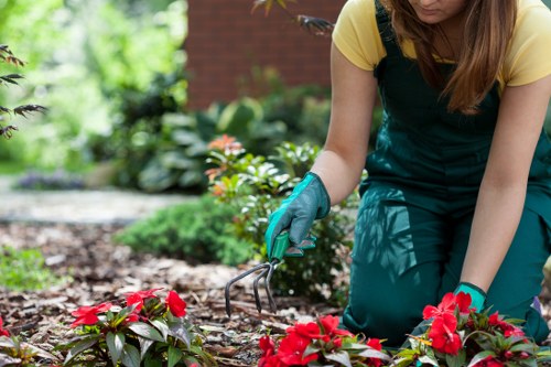 Technician inspecting hedges during garden maintenance visit