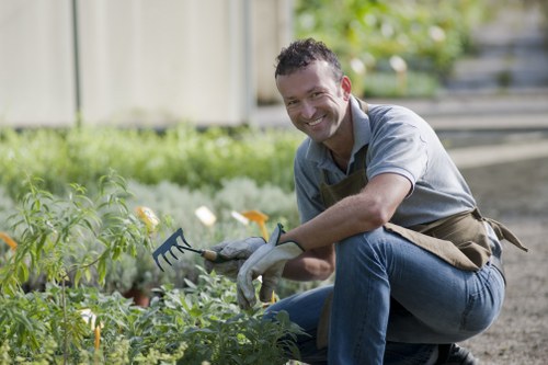 Professional gardener trimming a hedge