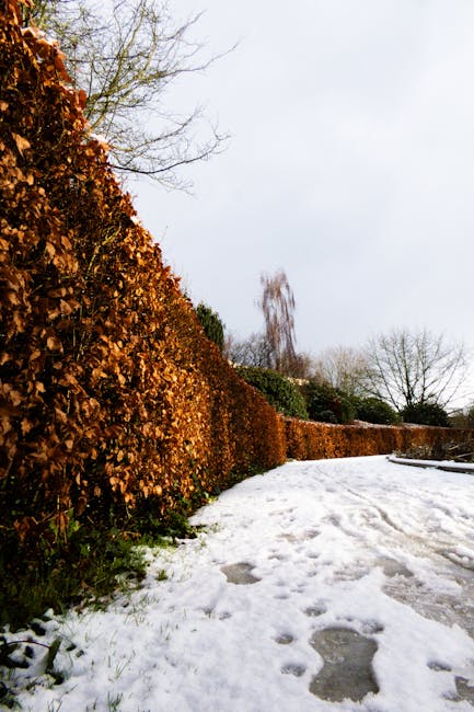 A wide gravel pathway runs through a formal garden with symmetrical, neatly trimmed round bushes and small classical urn-shaped stone planters lining both sides. Beyond the borders, there are well-mai