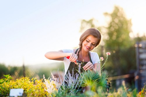 Lush Mottingham garden with vibrant flowers