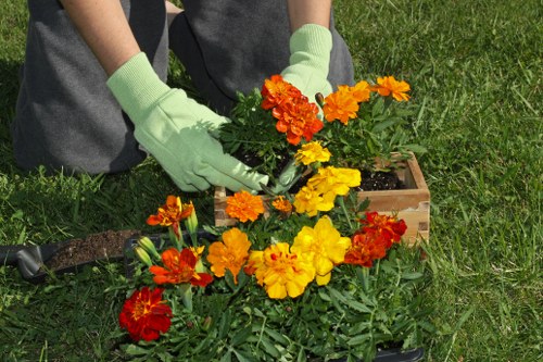 Mulched garden beds with diverse plants