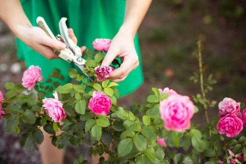 Efficient irrigation system in a well-maintained garden